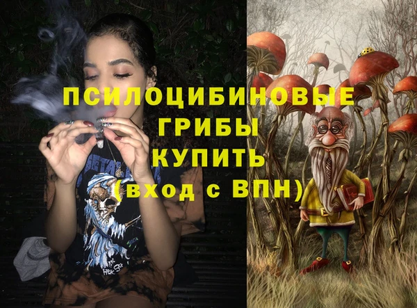 мяу мяу мука Алзамай