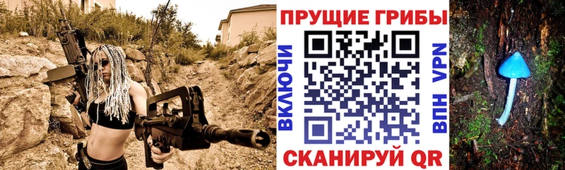 Галлюциногенные грибы Psilocybine cubensis  Купить  Миллерово 